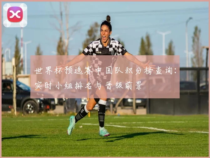 世界杯预选赛中国队积分榜查询：实时小组排名与晋级前景
