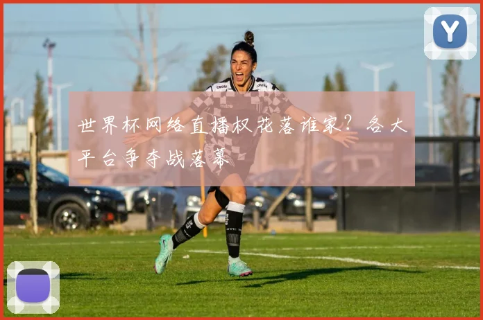 世界杯网络直播权花落谁家？各大平台争夺战落幕